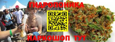 кокс Нальчик