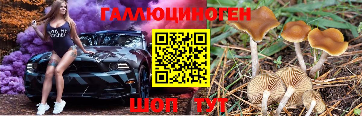 Галлюциногенные грибы Cubensis Тосно